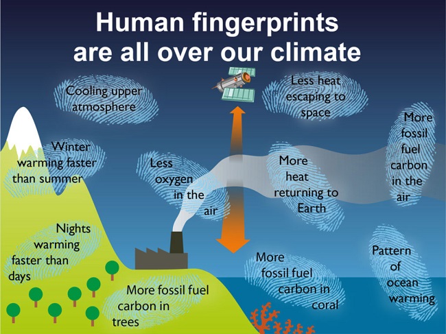 cause of global warming